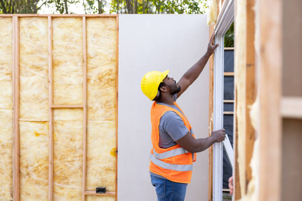 Best Residential Insulation Services  in Le Mars, IA