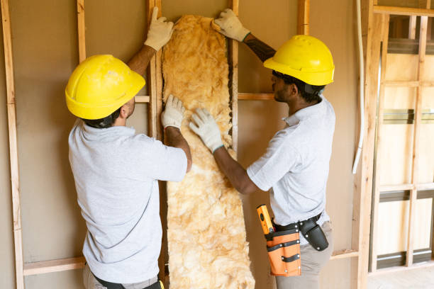 Best Insulation Contractors for Homes  in Le Mars, IA