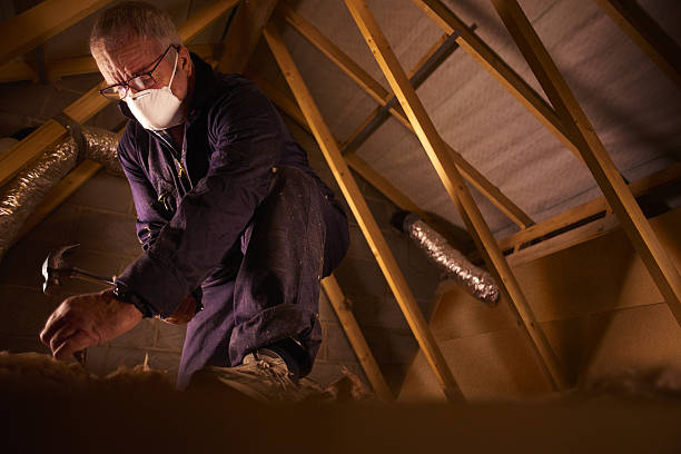 Insulation Contractors for Homes in Le Mars, IA